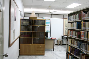 Library 101 b.jpg