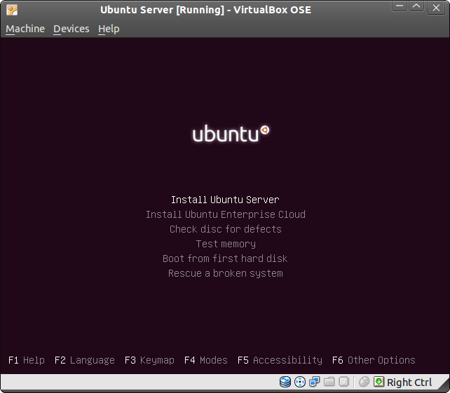 Ubuntu 10.10 beta server i386 iso